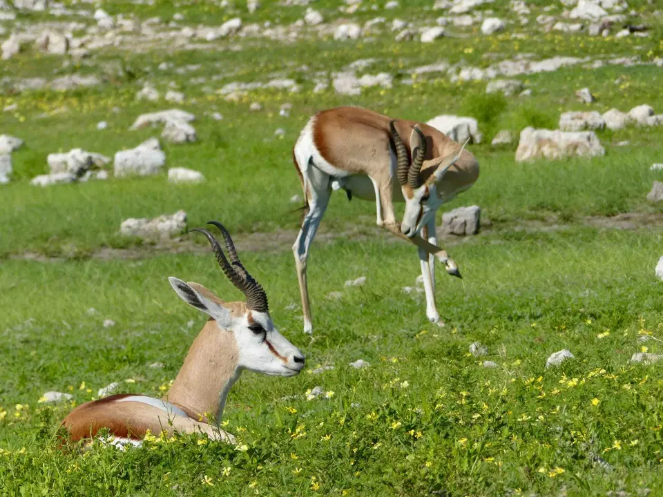 P1140482.jpg