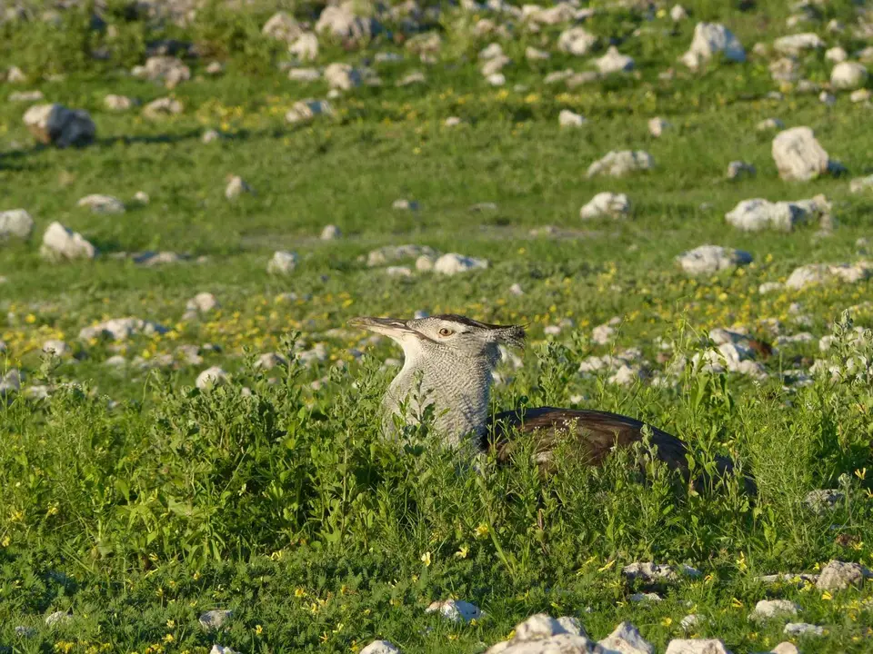 P1140494.jpg