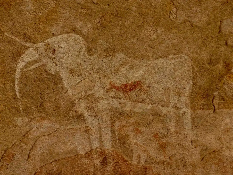 P1150241.jpg