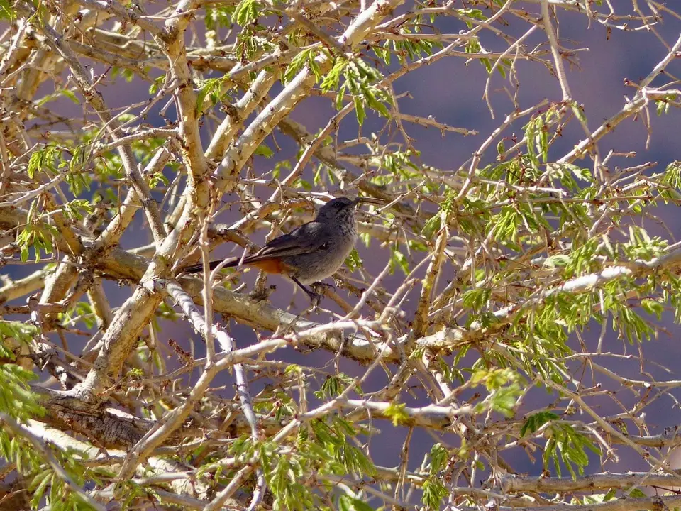 P1150327.jpg
