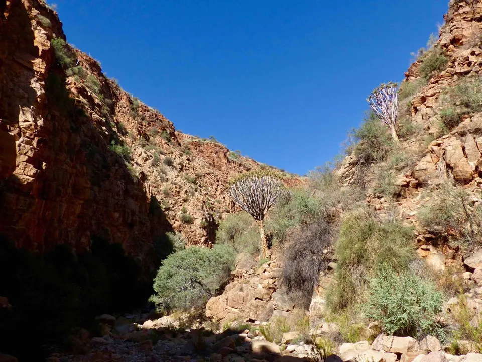 P1160022.jpg