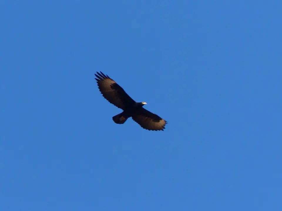 P1160037.jpg