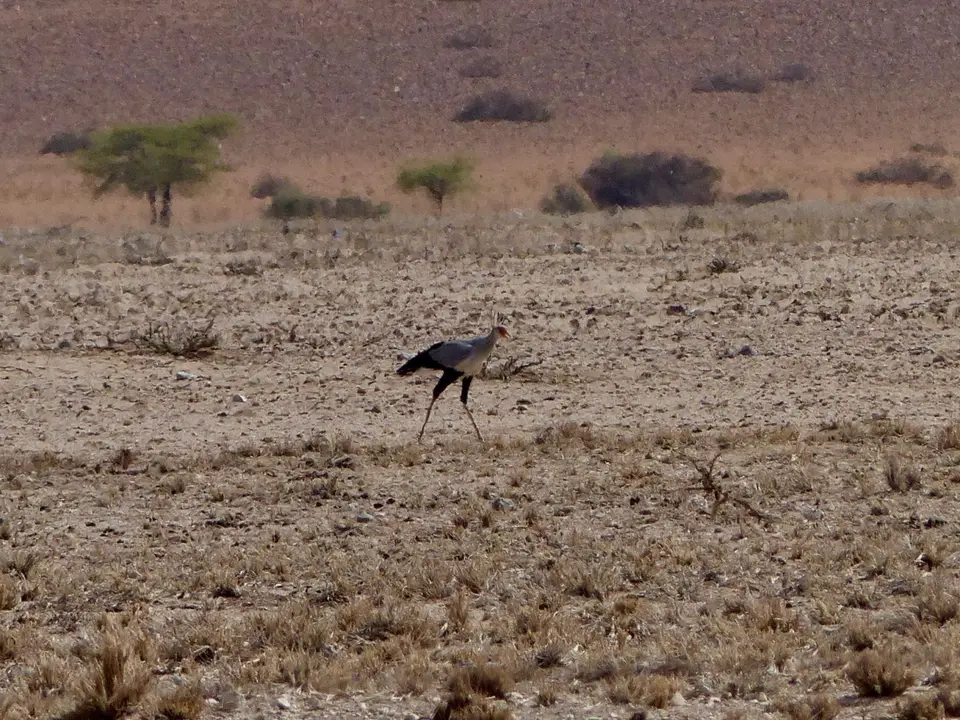 P1160048.jpg