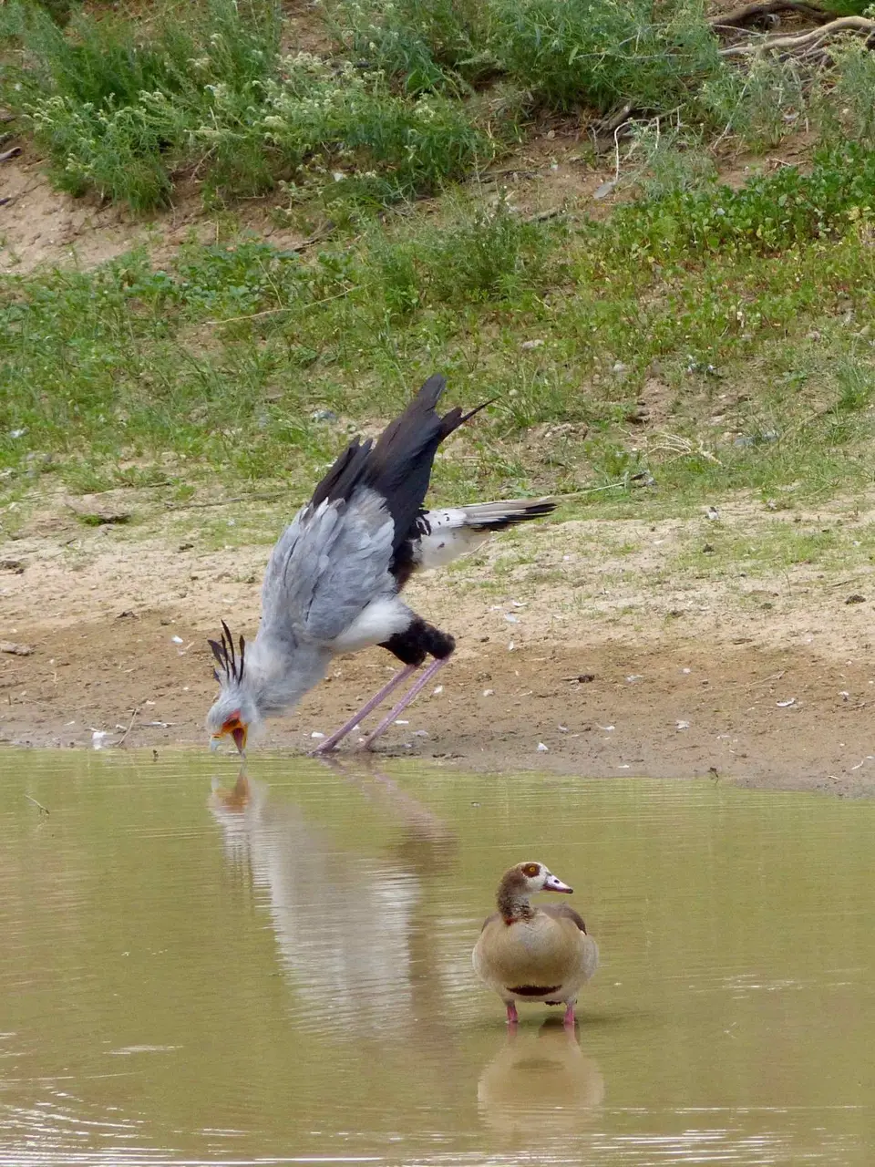 P1210363.jpg