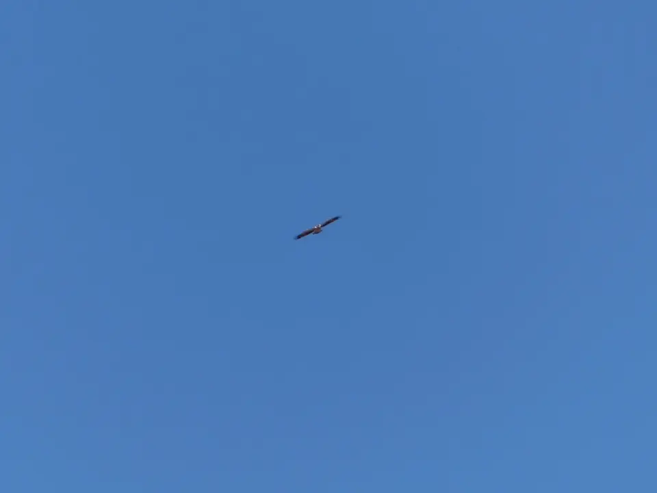 P1210879.jpg