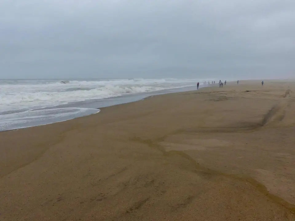 P1210979.jpg