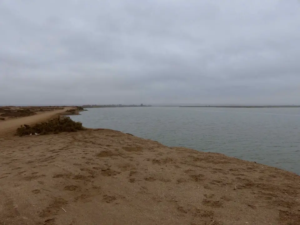 P1210983.jpg