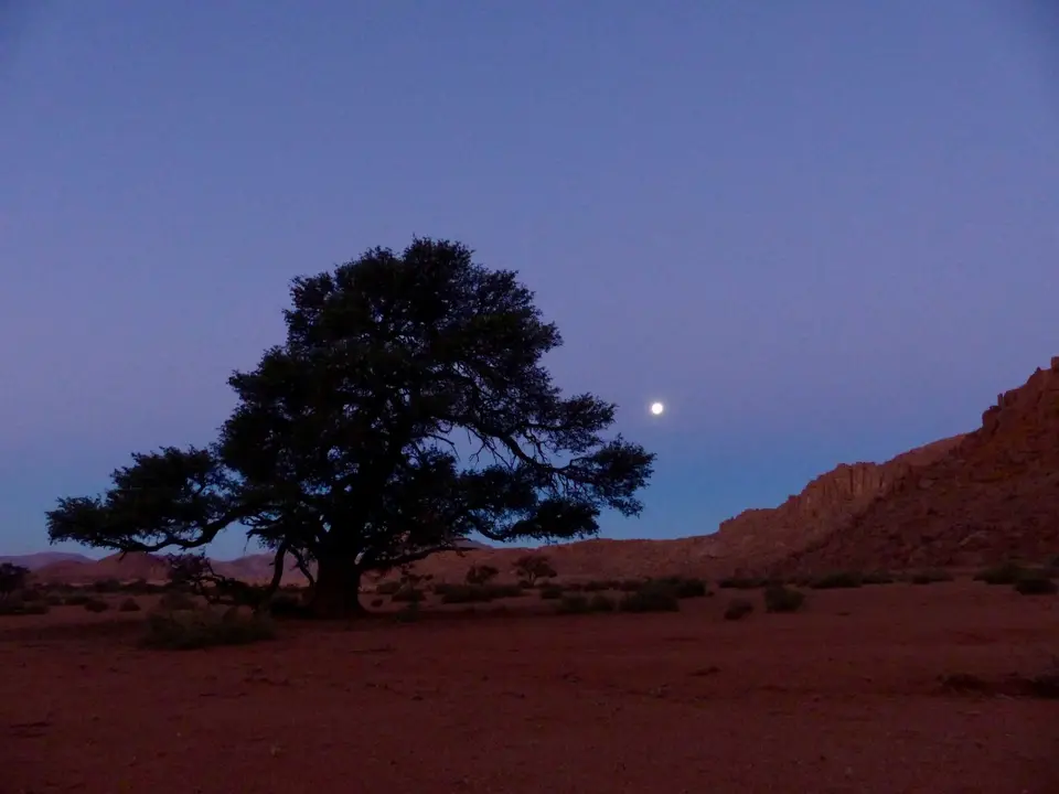 P1220127.jpg