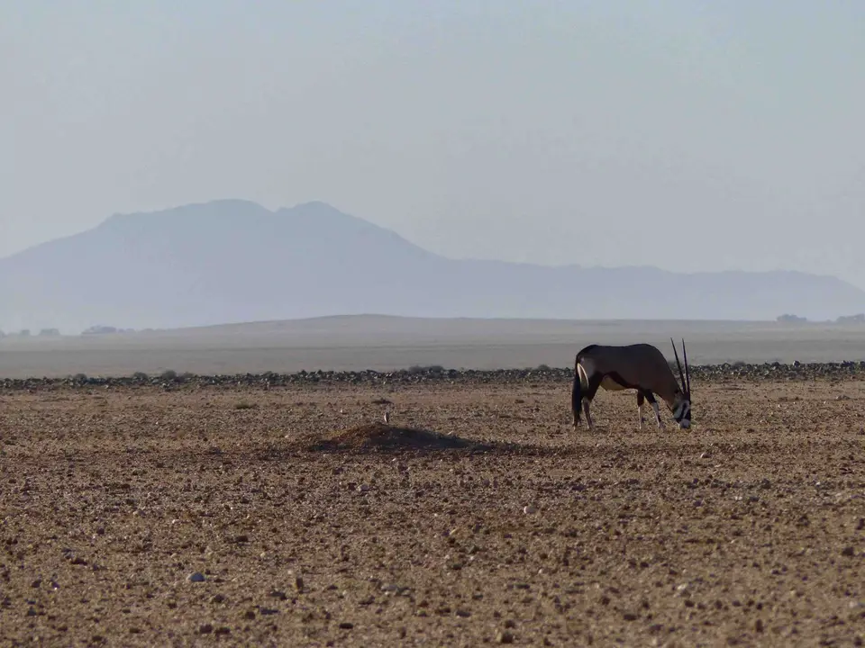 P1220521.jpg