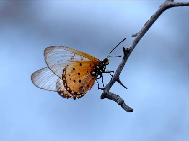 h385ee70.jpg