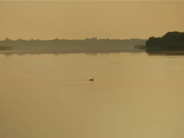 h3bf58e8.jpg