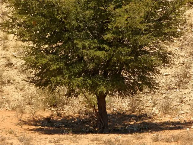 h4b753c6.jpg