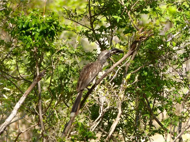 h5038835.jpg