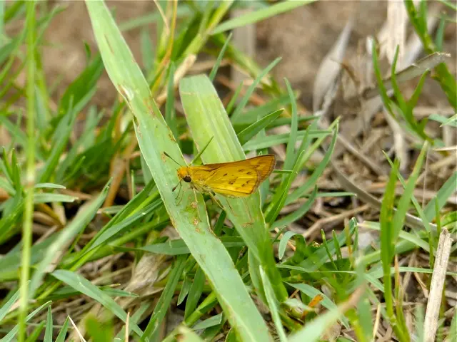 h58593d4.jpg