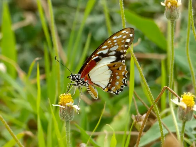 h5b2f858.jpg