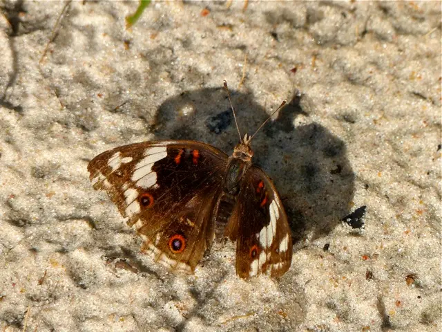 h605ad71.jpg
