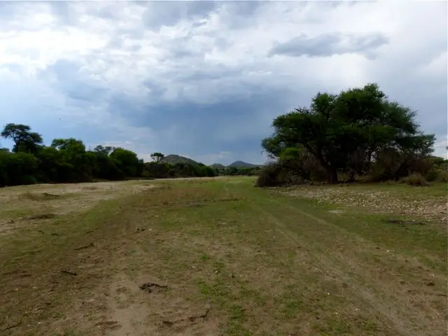 h6403668.jpg