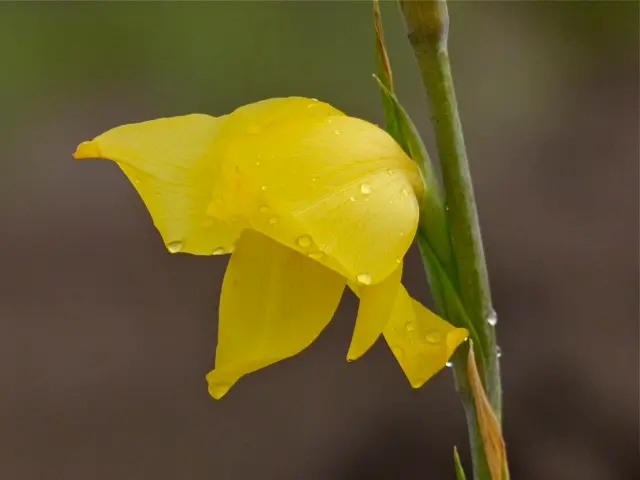 h70448b8.jpg