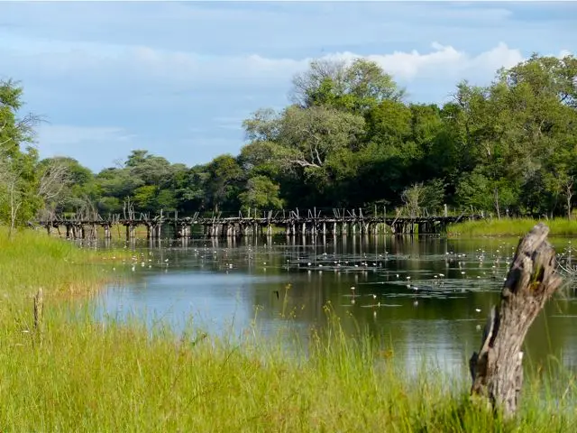 h765e9d8.jpg