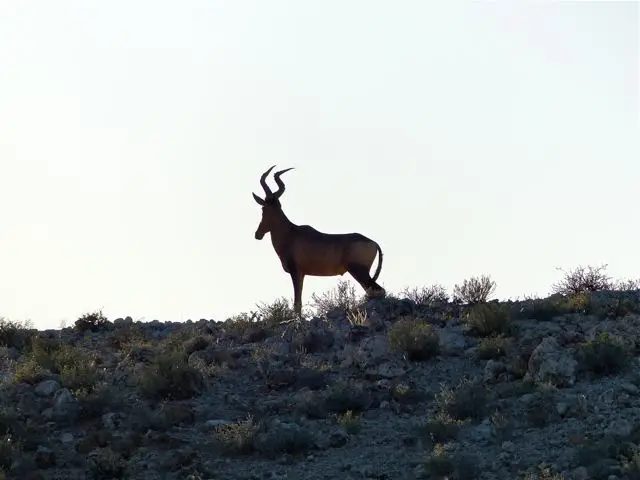 h794f6d3.jpg