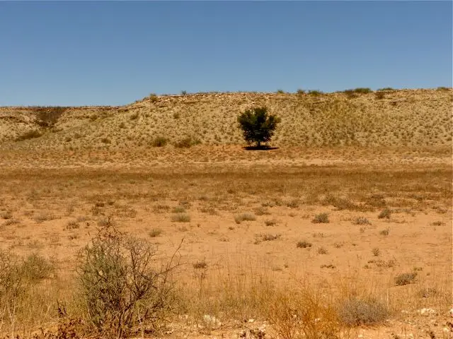 hb1fc8d3.jpg