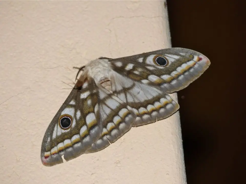 hb4f2235.jpg