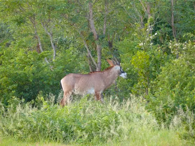 hb88ac94.jpg