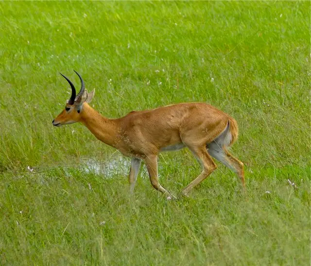 hd4df444.jpg