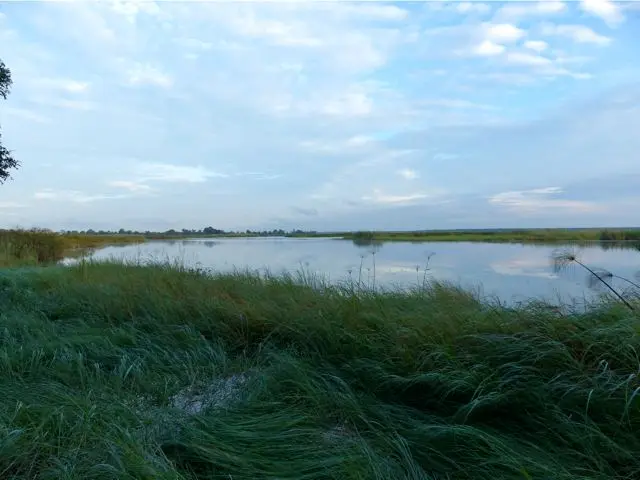 hdff111d.jpg