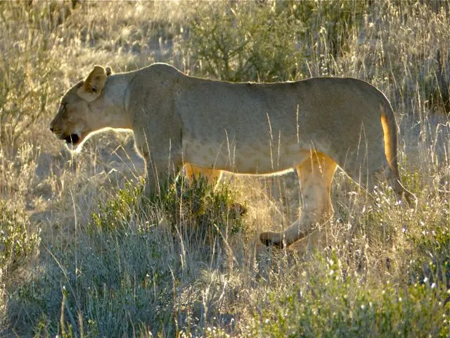 hf002578.jpg