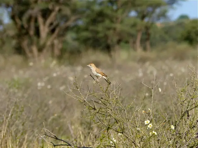 hff2c995.jpg