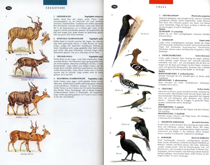 fauna.jpg