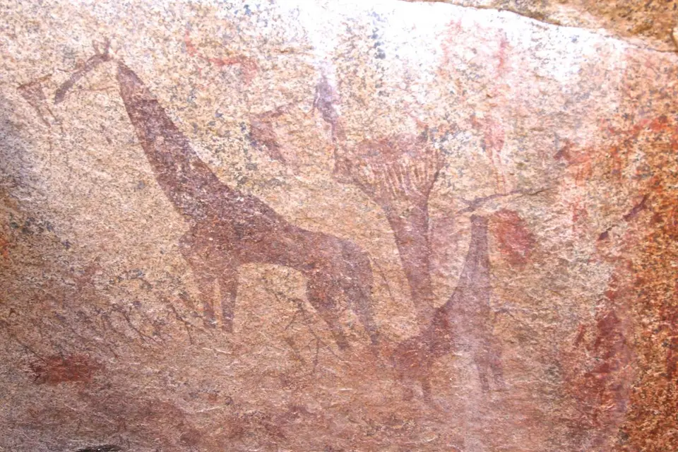 h6379197.jpg