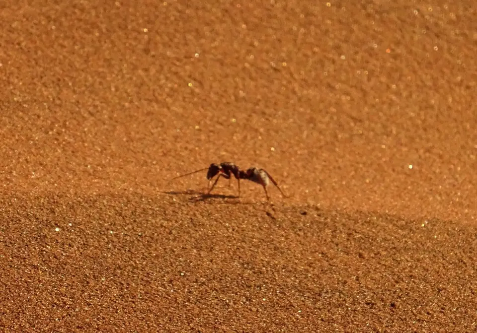 Namibia(10)-2.JPG