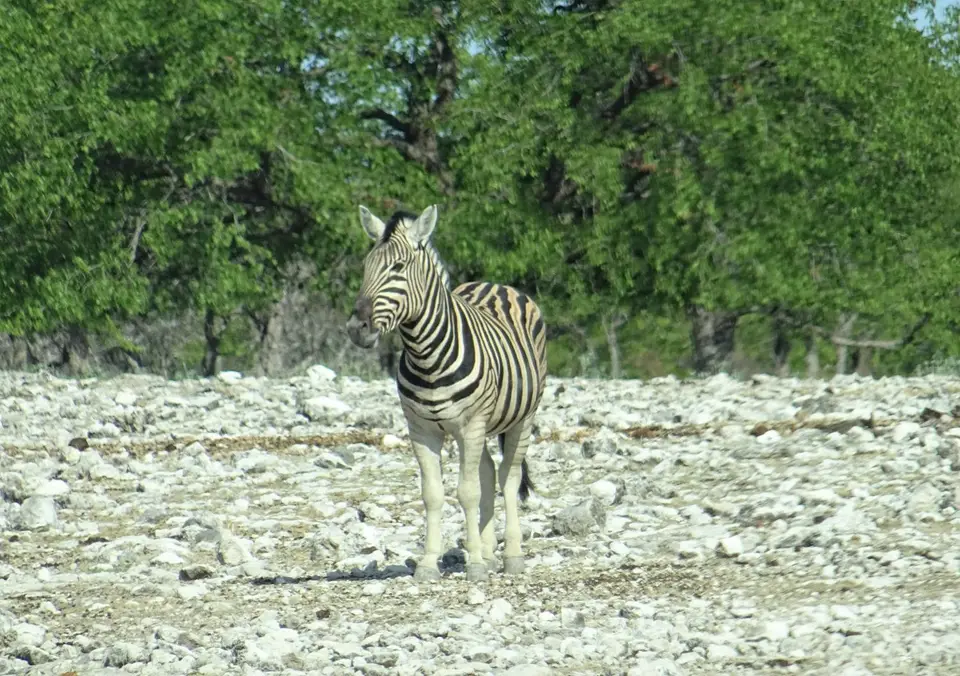 Namibia(16)-2-3-4-5-6.JPG