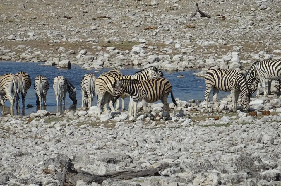 Namibia(19)-2-3-4-5-6.JPG