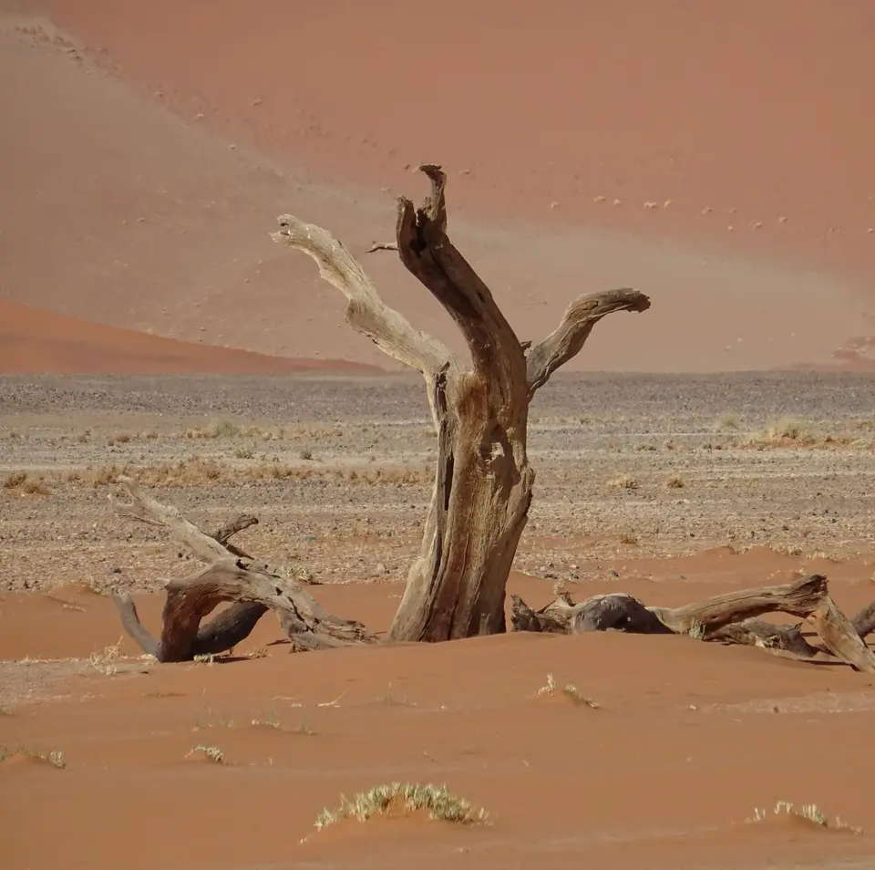 Namibia(19)-2-3.JPG