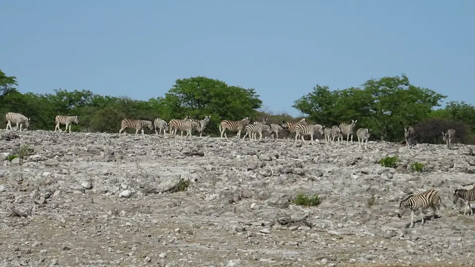 Namibia(21)-2-3-4-5-6-7.JPG