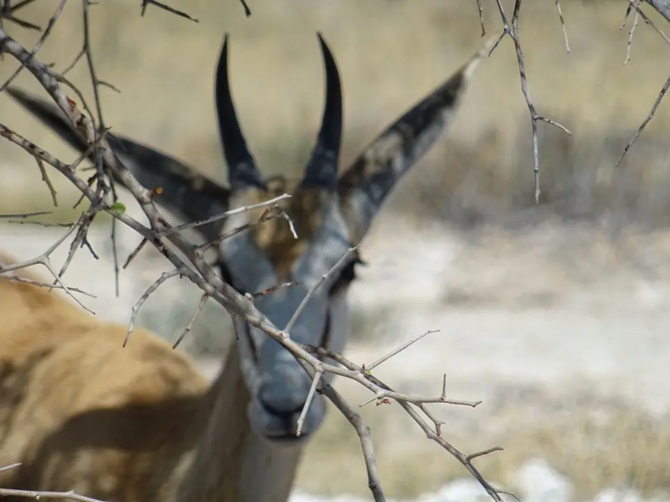 Namibia(21)-2-3-4-5-6.JPG