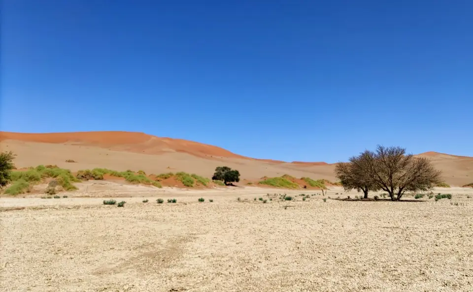 Namibia(25)-2-3.jpg