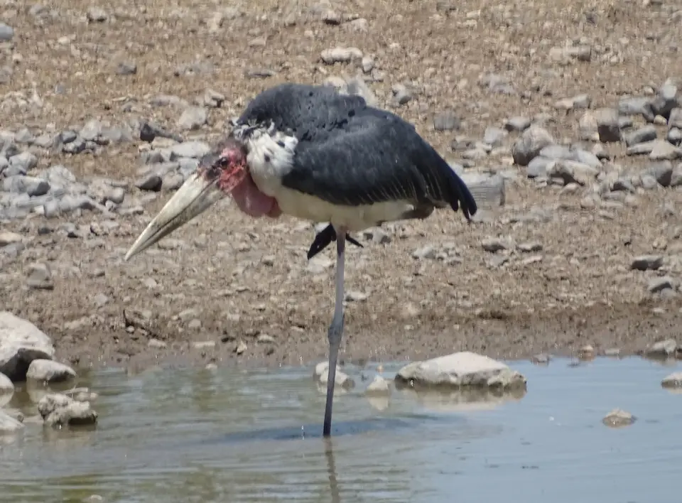 Namibia(27)-2-3-4-5.JPG