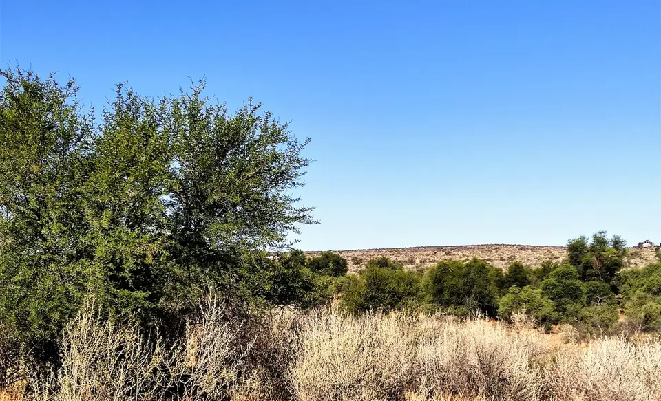 Namibia(28)-2-3-4-5.jpg