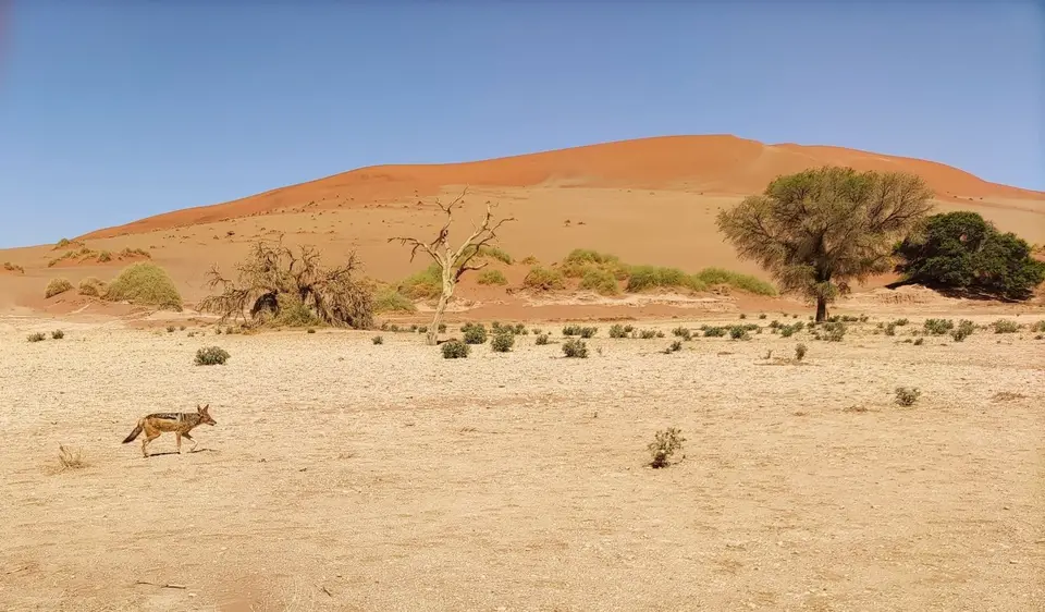 Namibia(28)-2.jpg