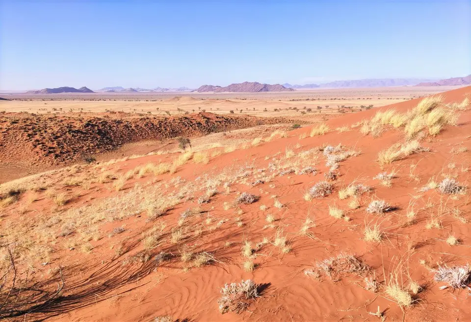Namibia(29)-2.jpg