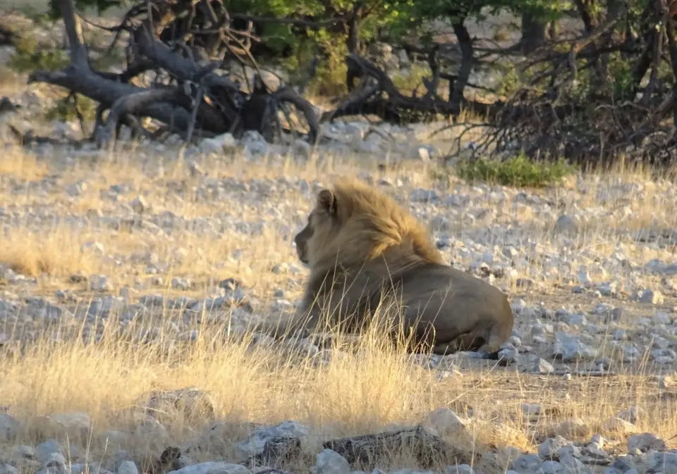 Namibia(3)-2-3-4-5-6-7-8.JPG