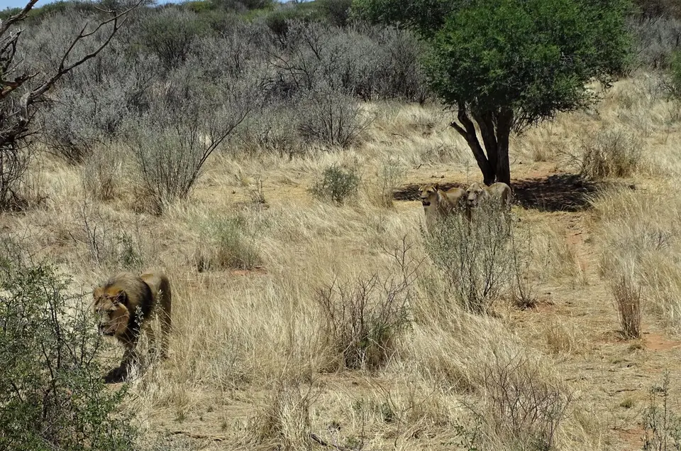 Namibia(33)-2-3-4-5-6-7.JPG