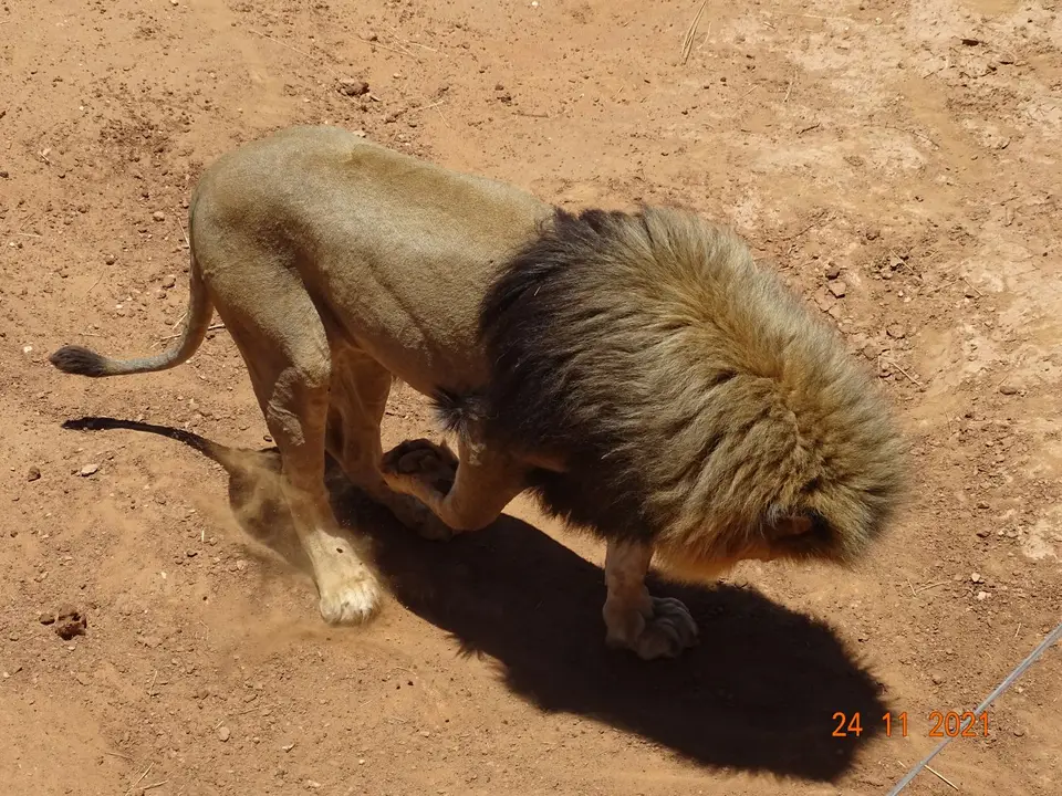 Namibia(39)-2.JPG