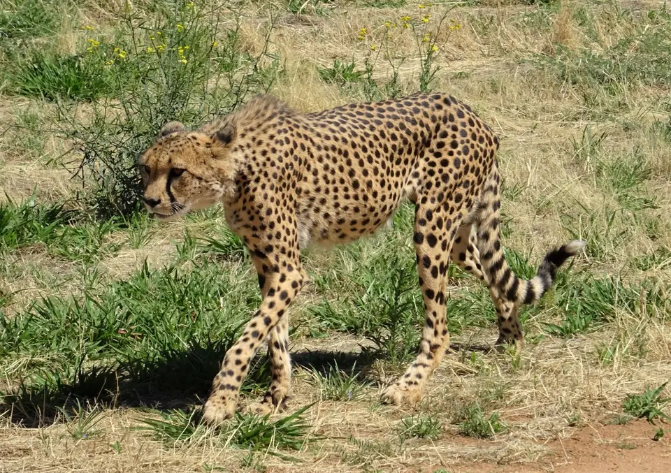 Namibia(4)-2-3-4-5-6-7.JPG