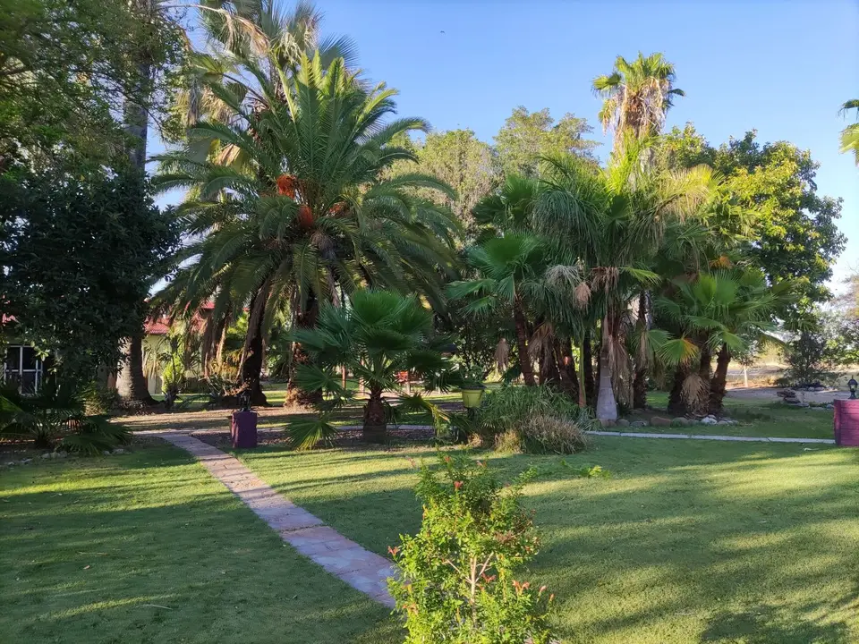 Namibia(4)-2-3-4-5-6.jpg