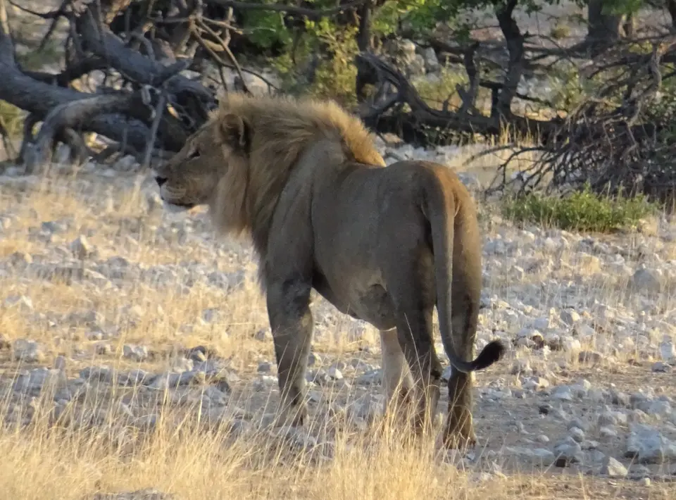 Namibia(4)-2-3-4-5.JPG